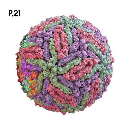 Přírodopis_motiv21.jpg Přírodopis_motiv21.jpg